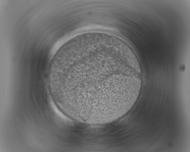 X0000111861531200909031739