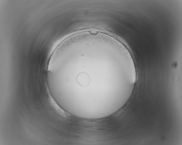 X0000111861532200909031739