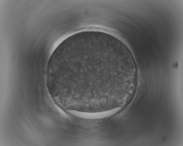X0000111861533200909031739