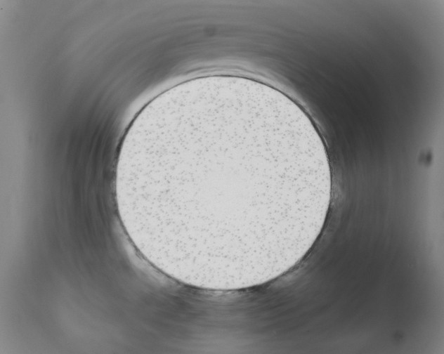 X0000111861534200909031739