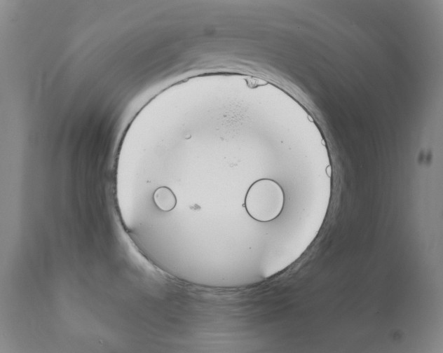 X0000111861536200909031739