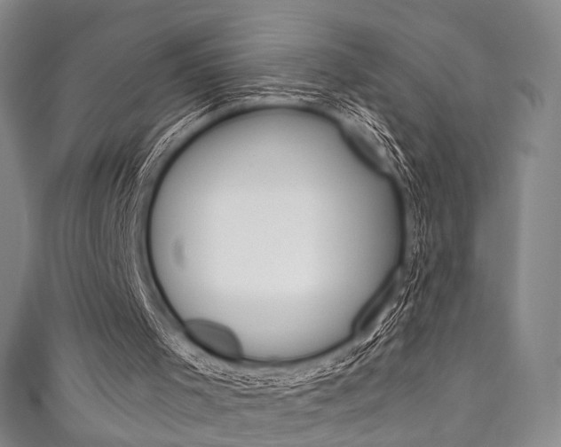 X0000111870001200907231201