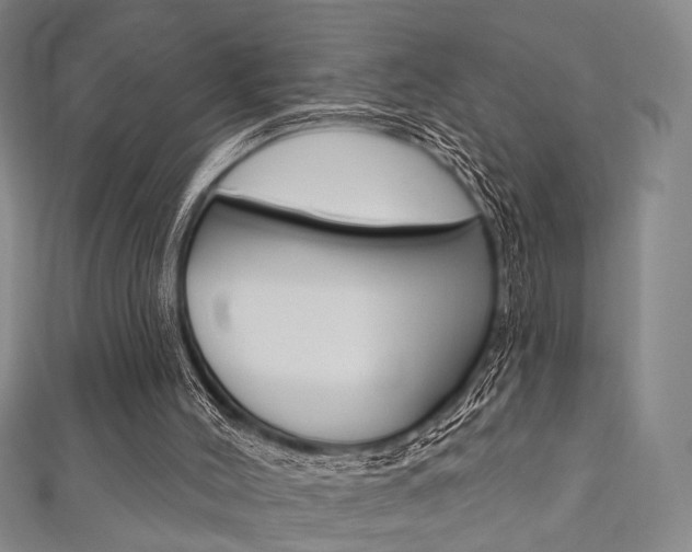X0000111870004200907231201