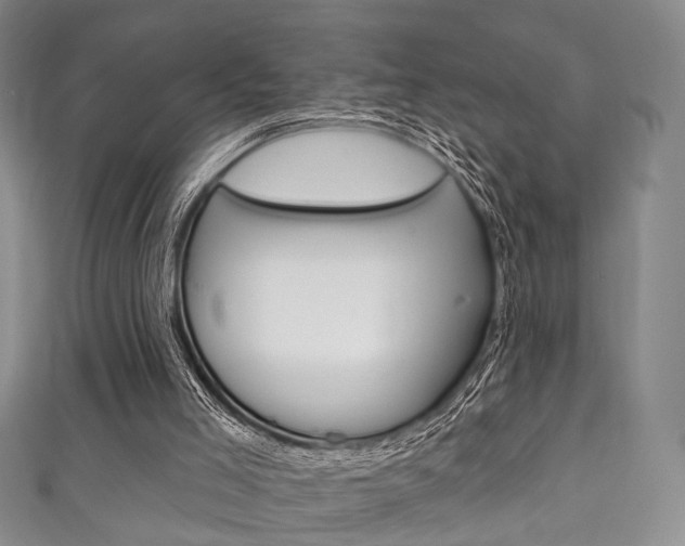 X0000111870005200907231201