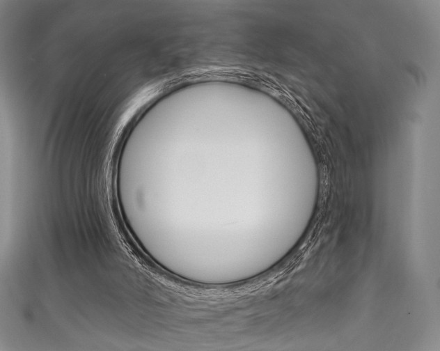 X0000111870006200907231201