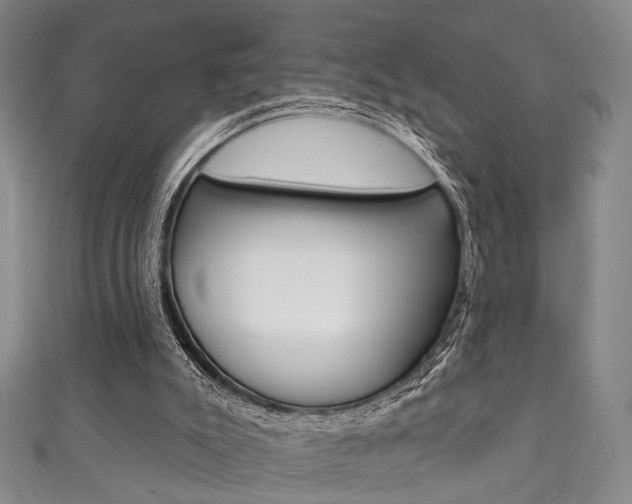 X0000111870007200907231201