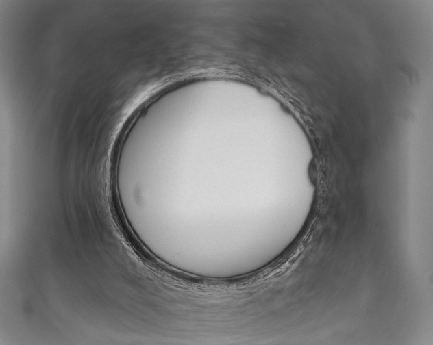 X0000111870008200907231201