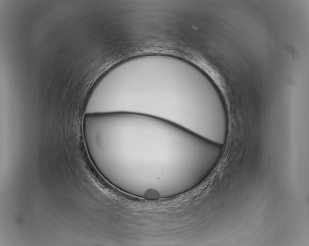 X0000111870009200907231201