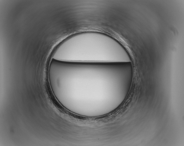 X0000111870012200907231201