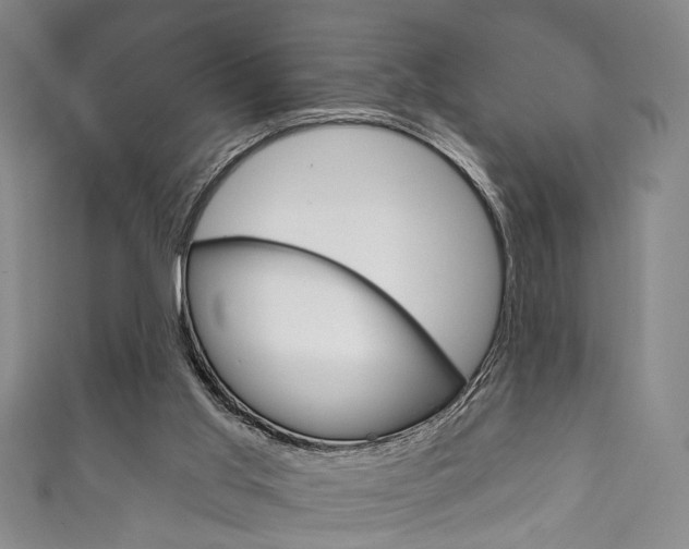 X0000111870013200907231201