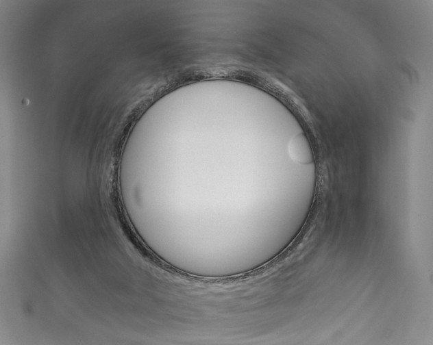 X0000111870018200907231200