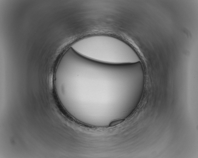 X0000111870019200907231200