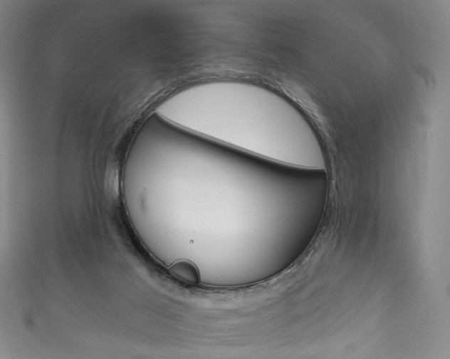 X0000111870021200907231200