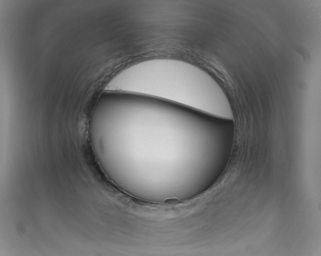 X0000111870029200907231200