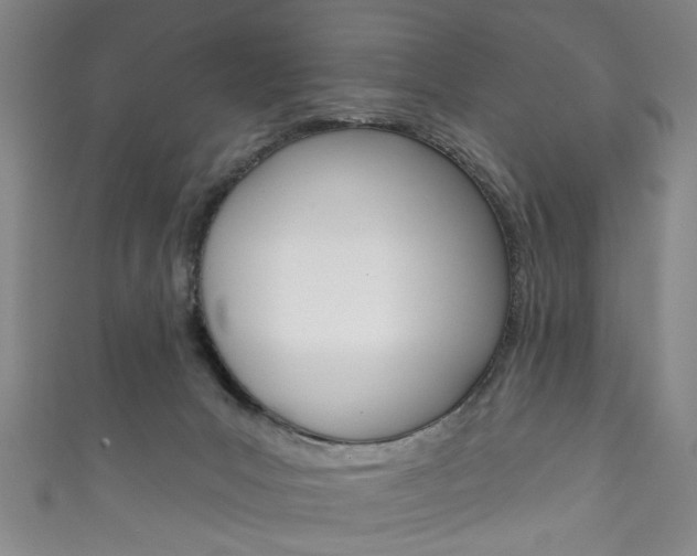 X0000111870031200907231200