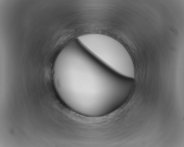 X0000111870035200907231200
