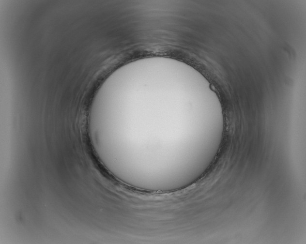 X0000111870036200907231200