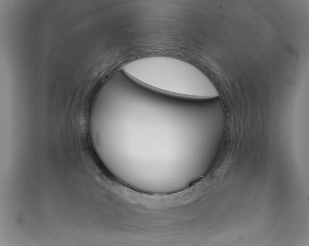X0000111870039200907231200