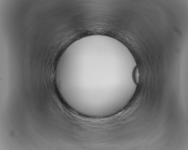 X0000111870040200907231200