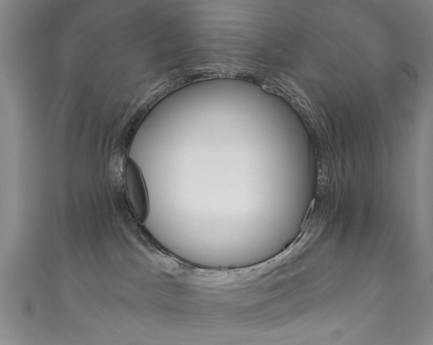 X0000111870045200907231200