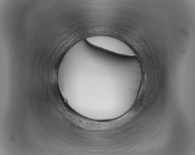 X0000111870048200907231200