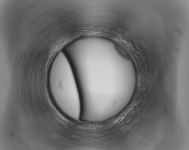 X0000111870049200907231159