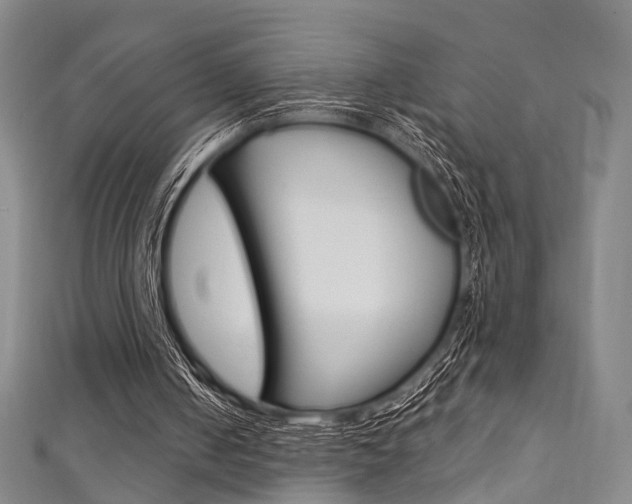 X0000111870050200907231159