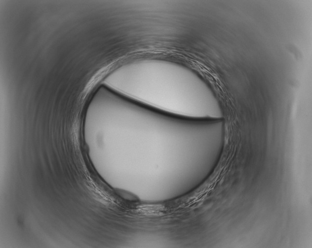 X0000111870051200907231159