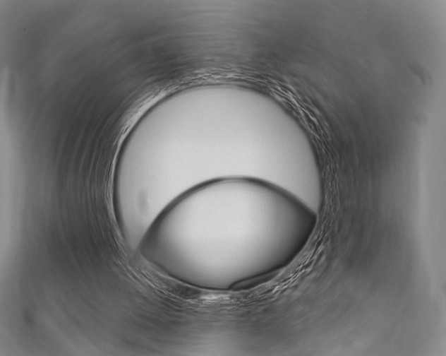 X0000111870052200907231159