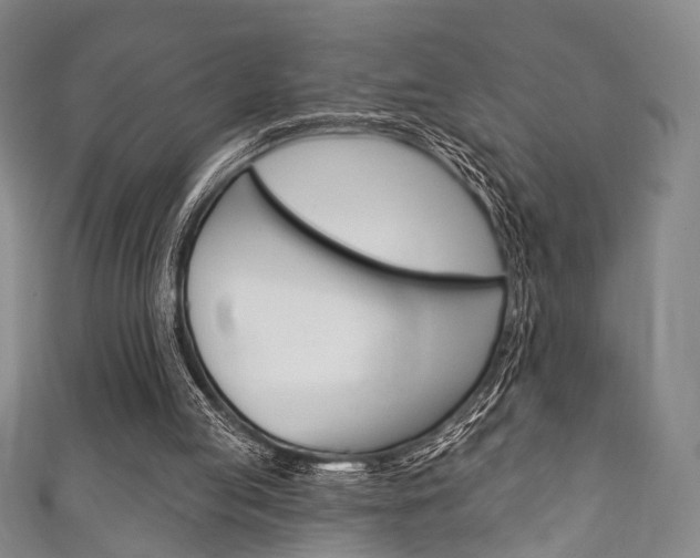 X0000111870053200907231159