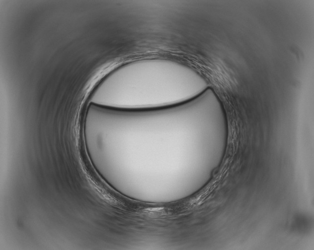 X0000111870054200907231159
