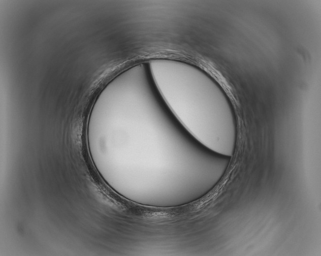 X0000111870058200907231159