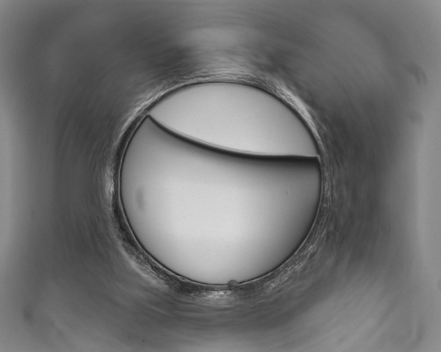 X0000111870059200907231159