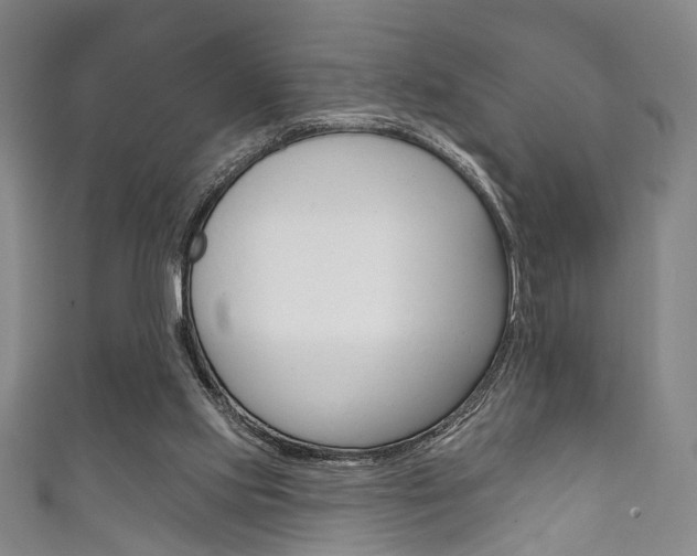 X0000111870061200907231159