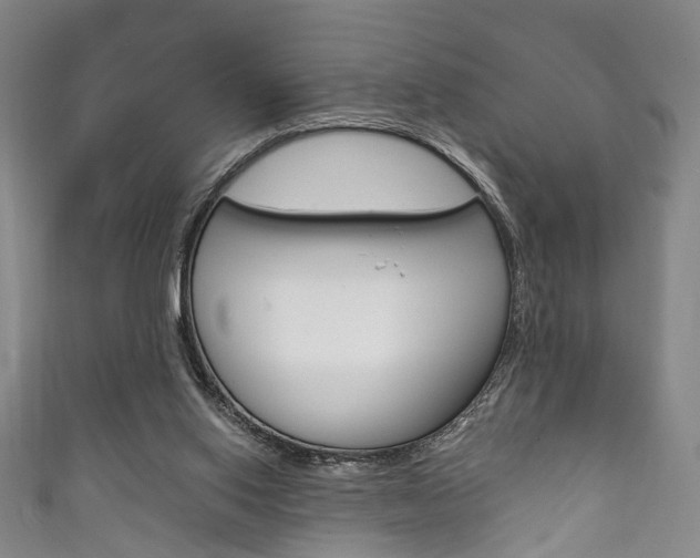 X0000111870062200907231159