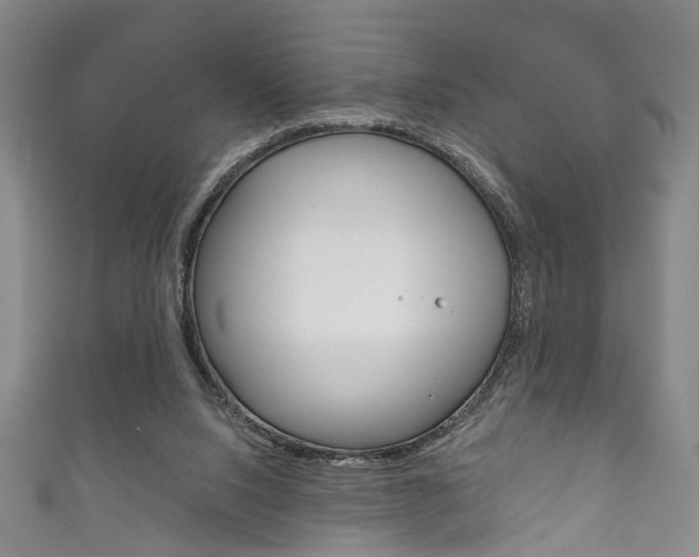 X0000111870064200907231159