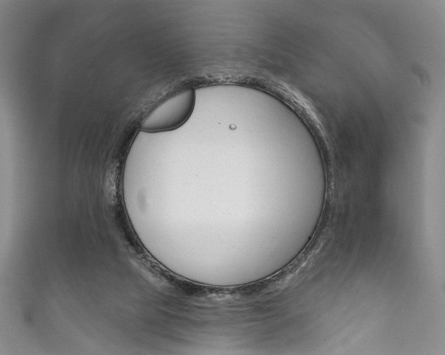 X0000111870065200907231159