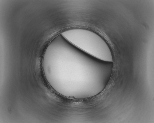 X0000111870066200907231159