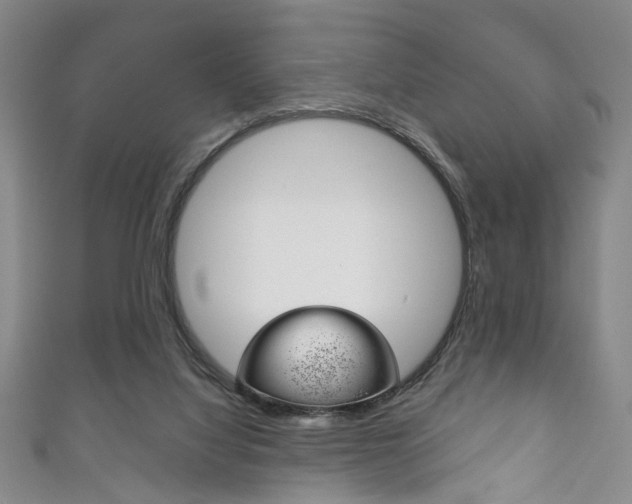X0000111870068200907231159