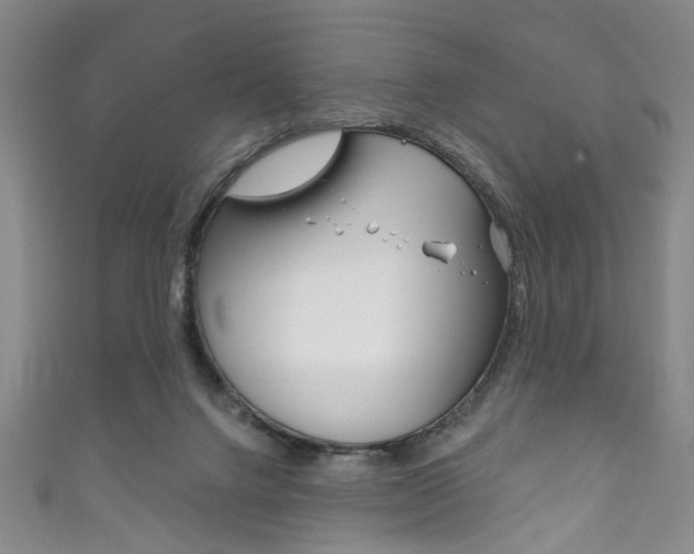 X0000111870072200907231159