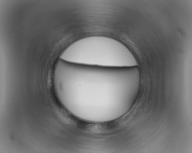 X0000111870074200907231200