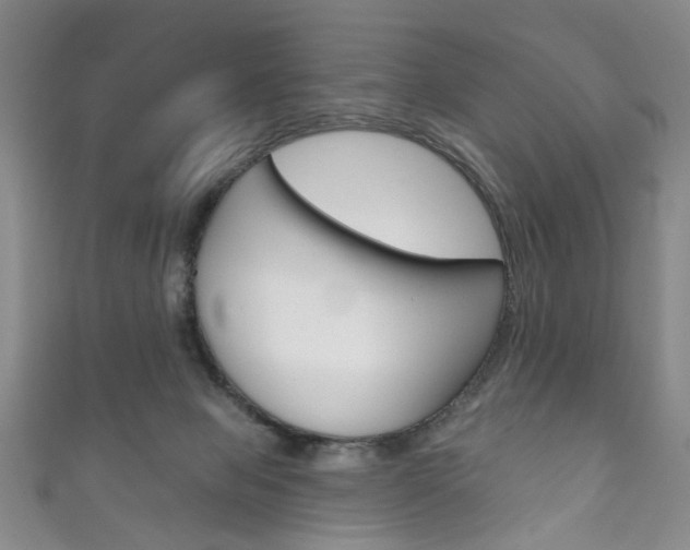 X0000111870077200907231200