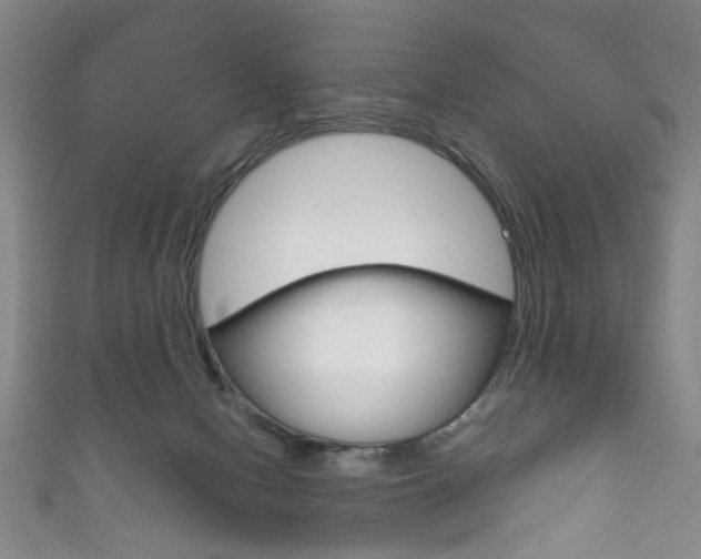 X0000111870078200907231200