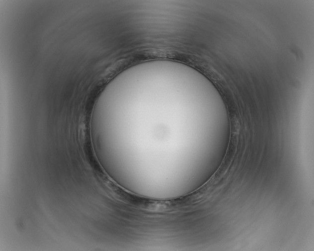 X0000111870080200907231200