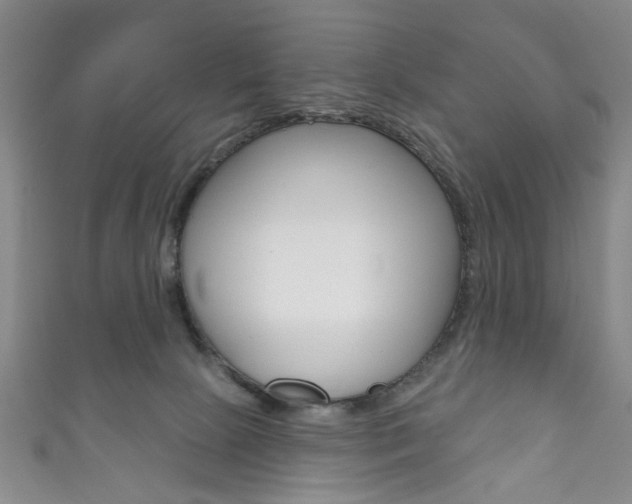 X0000111870081200907231200