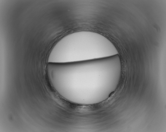 X0000111870082200907231200