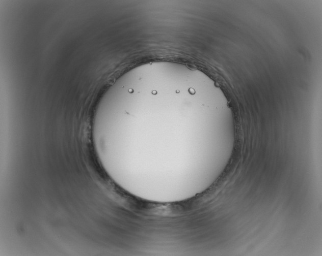 X0000111870083200907231200