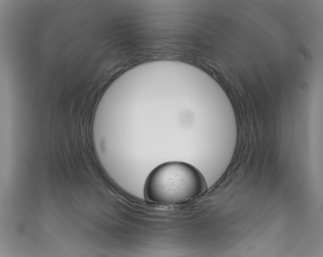 X0000111870084200907231200