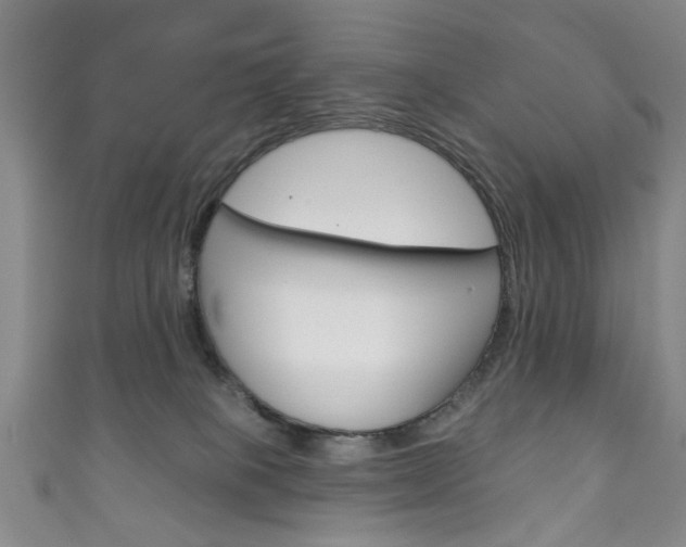 X0000111870085200907231200