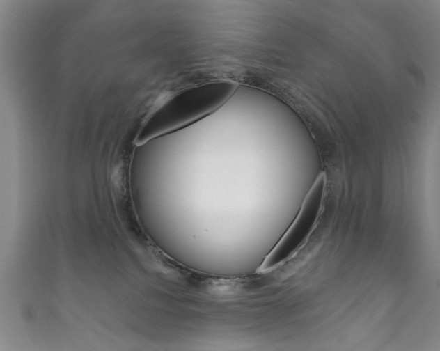 X0000111870088200907231200